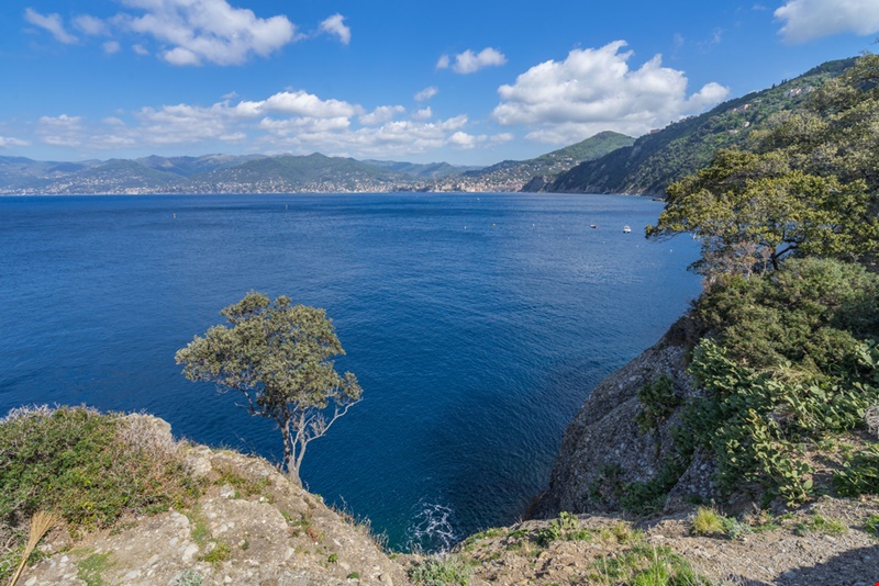 Punta Chiappa vista da Camogli
